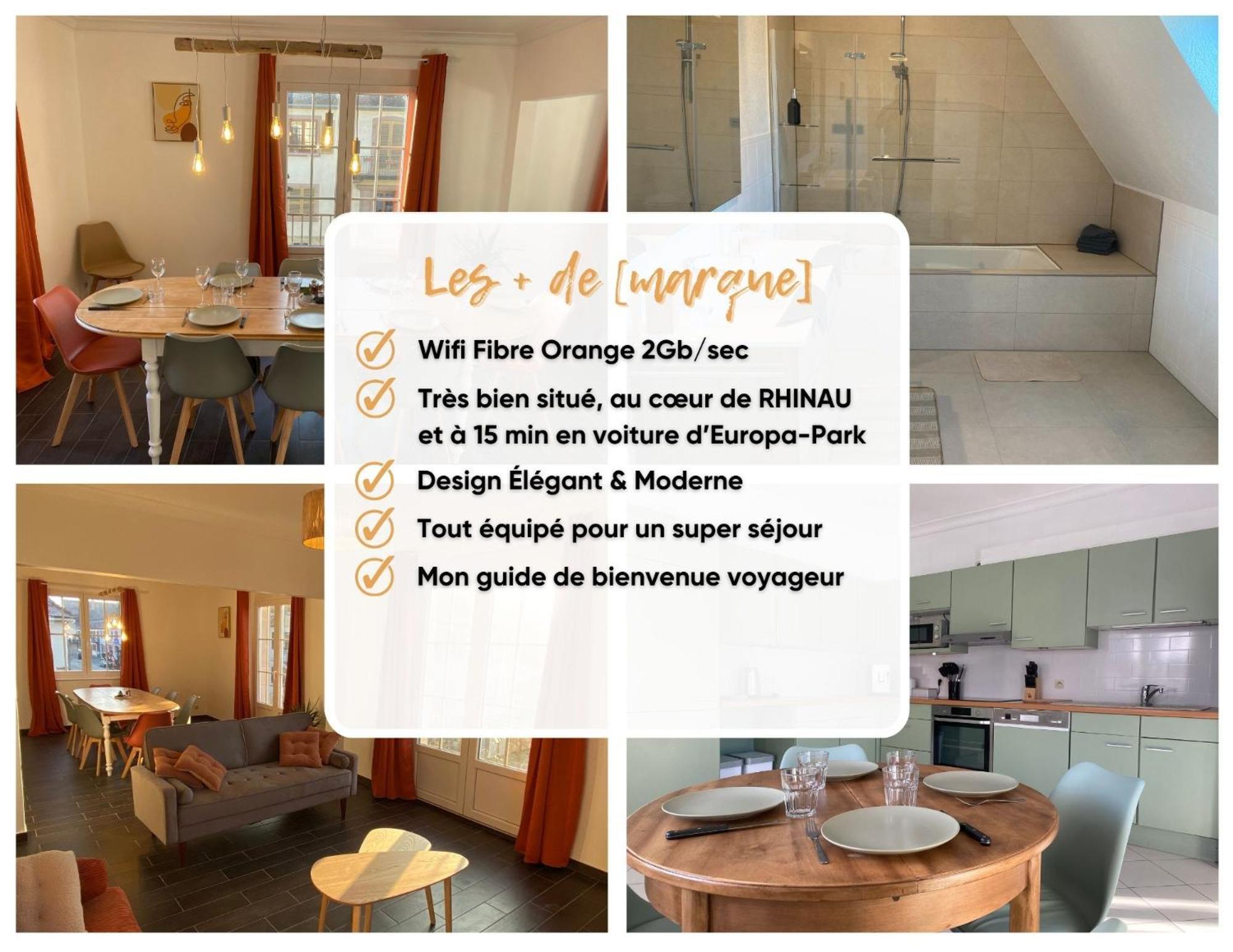 Apartament L'Echappee Belle Le Duplex Proche "Europa Park" Rhinau Zewnętrze zdjęcie